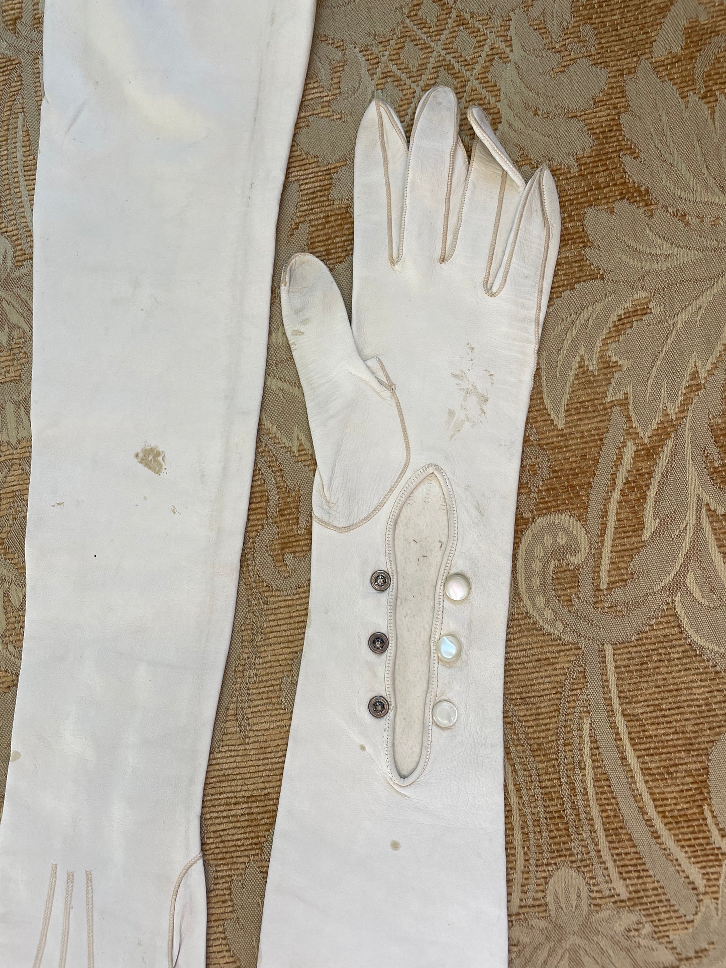 1900 - 1930, White Kidskin Elbow Length Gloves